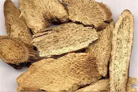 四味中药，贯通体内阳气，推走多余的水液，可化解水肿、积液图片