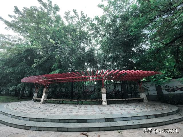 官洲生物岛鹅公村的早茶