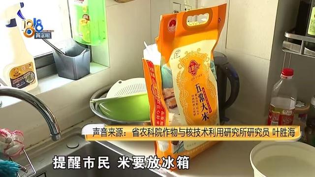 什么情况下食物会滋生黄曲霉素