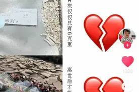 台湾虐童案震惊人心：凯凯的平安夜，何时能真正平安？图片