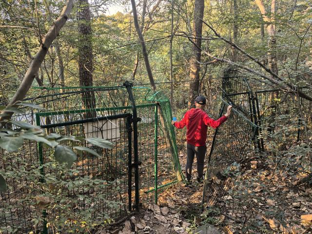 南京紫金山郊野徒步