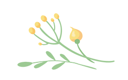 一年级小学生寄语简短一句话（逐光齐行 班韵芬芳①一年级1班）