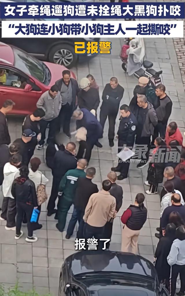 遛狗不拴绳该如何治理