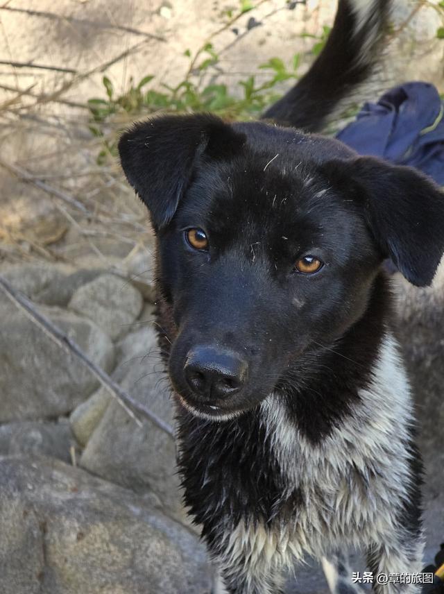 厦门澳溪峡谷初探