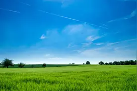 临床中医的劝告，句句都是大实话图片