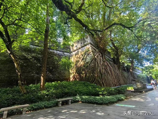 新羊城八景之三：越秀风华