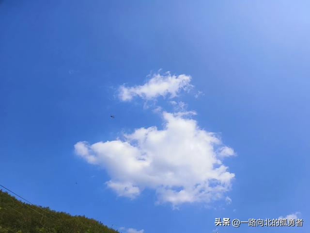 你认为胖东来招聘人性化吗
