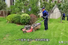 草坪喷一下，一年少剪四～六次草，还能少浇水，少生病虫害！图片