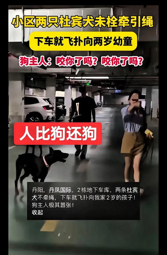 恶犬咬人狗主人应承担哪些责任