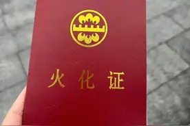 胖猫的死，我愿称之为“纯爱”之死。 很不幸图片