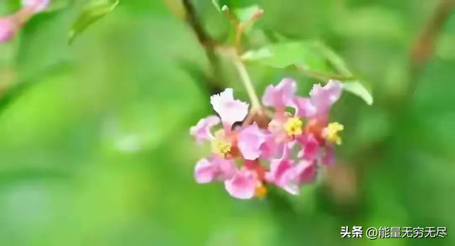 两性关系：除了生理性需求，其实女人最需要男人以下三样东西