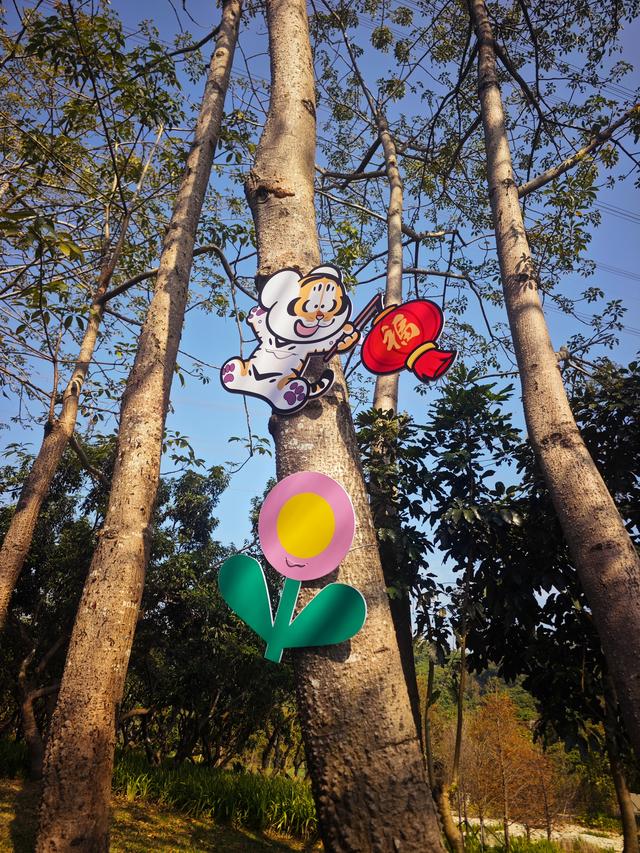 西丽湖绿道骑行随拍