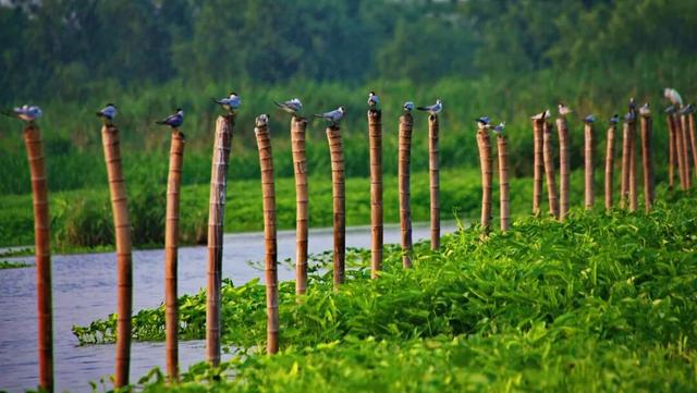 开学第一课！在金坛还能这样学？