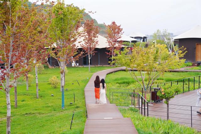 寻梦临夏:一场自然与人文交织的慢享疗愈之旅