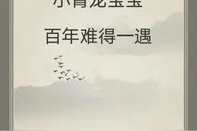 宝宝取名|24年降生的小青龙宝宝百年难得一遇图片