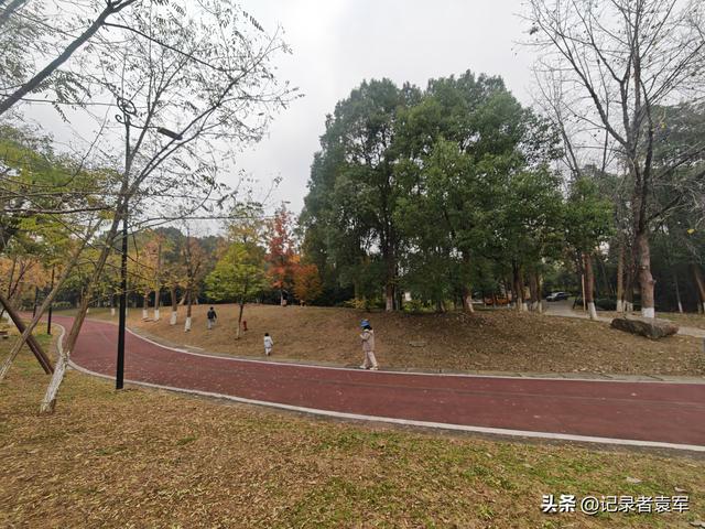 凤栖绿道，湖畔闲游——成都金牛区凤凰山公园游记