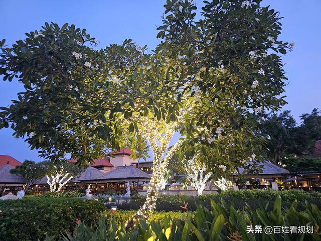 巴厘岛明星婚礼地探秘