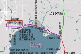 从合肥市区到长临河古镇、巢湖中庙景区公交线路图，非308路不可图片