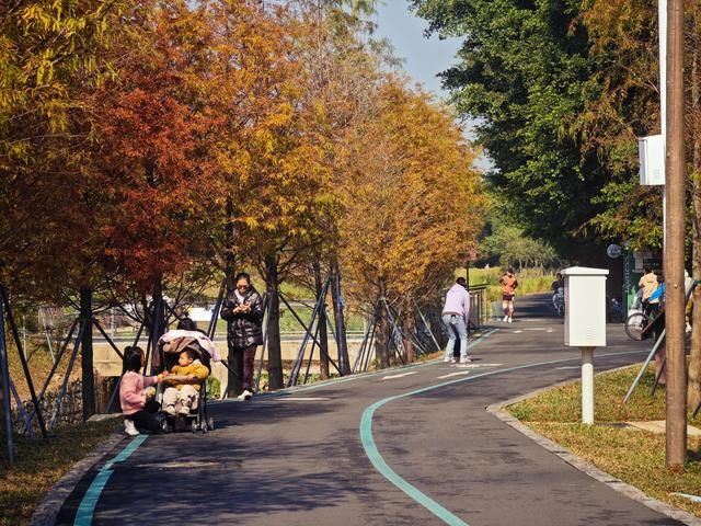 西丽湖绿道骑行随拍