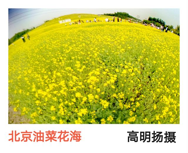 11月下旬就别去张北了。