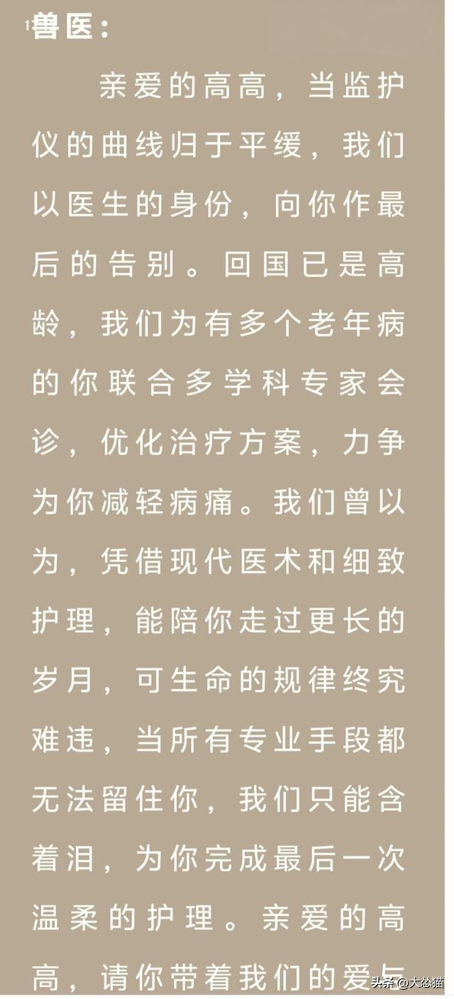 大熊猫高高离世你有何感受