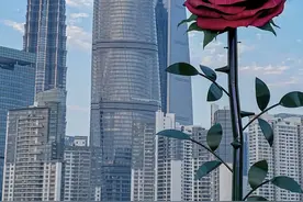 太感人了！[流泪]上海落户终于对普通人放宽！ 最近...图片