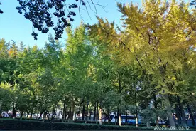 昨天我发的那条我对班主任发火的微文被骂得很厉害哈！...图片