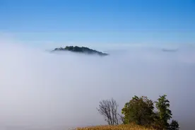 痛彻心扉的自述:我的出家还俗之路图片