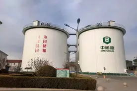 俄粉无视法律，简简单单的事情，也要扯出个阴谋论图片