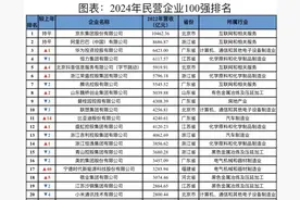 2024年中国民营企业百强榜发布，抖音集团位列第五图片
