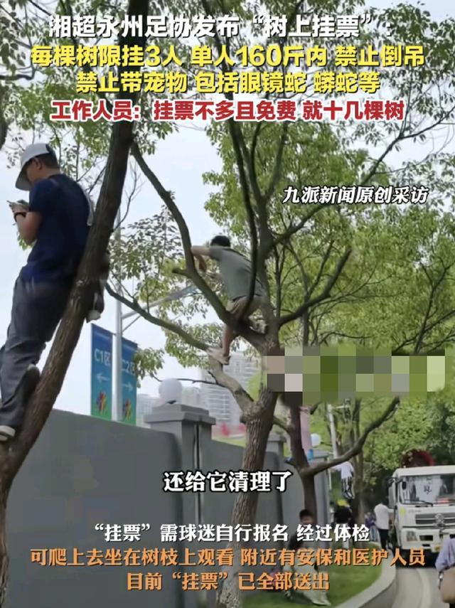 如何看湘超比赛官方送“树上挂票”