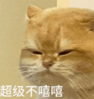 第一批用拼多多买屎的人出现！香港自提点员工崩溃：求放过！