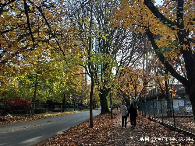 温哥华游记（四）