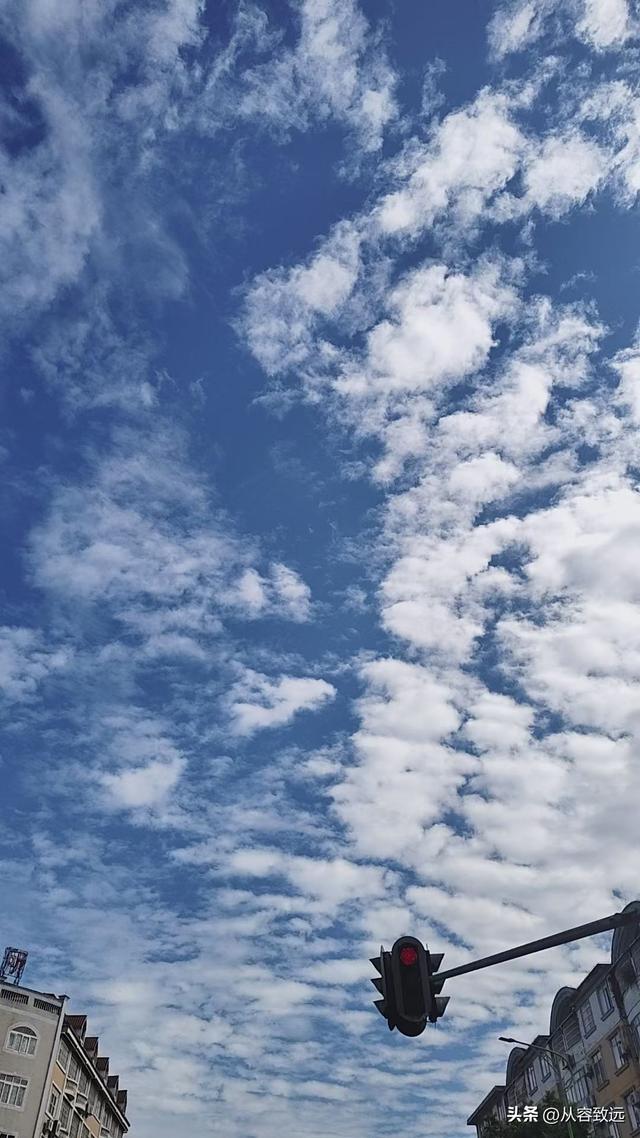 为何说不能严厉苛责孩子