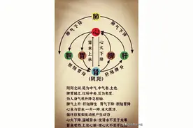 胃病？可以从肝胆脾胃调畅气机升降思路出发 十人九胃...图片