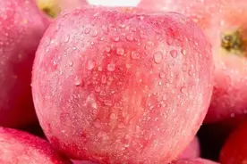 中国哪里的苹果最好吃？认准这8个苹果之乡，香甜脆爽图片