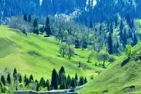 中国姓氏文化博大精深，有趣且富有创意的拆分表述外图片