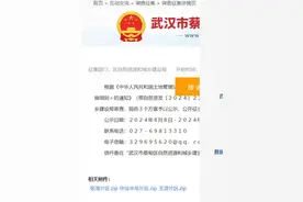 武汉蔡甸要加速开发了？中法新城、玉贤图片