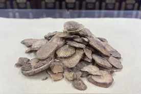 牙齿松动+牙龈萎缩，活血化瘀才是正道，补肾的都是庸医！图片