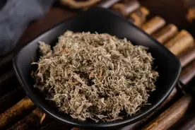 倪海厦：春季万物生发，结节散淤正当时，分享3个“散结草”图片