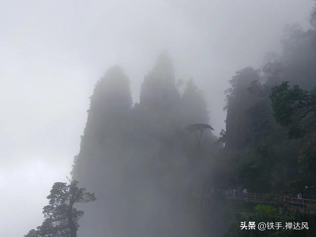 2025湖南行：仙气飘飘～莽山五指峰