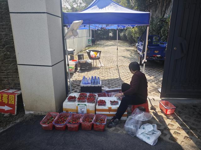 西丽湖绿道骑行随拍