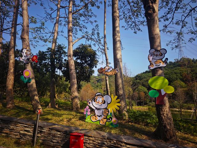 西丽湖绿道骑行随拍