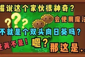 哎呀呀，亲爱的朋友，你看看这些双头向日葵！简直就是...图片