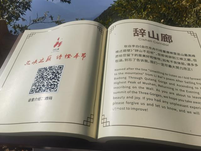 癌症患者治疗期有啥难忘经历