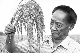 袁隆平口述1：我家祖上明代的时候落脚江西德安，在那里世代务农图片