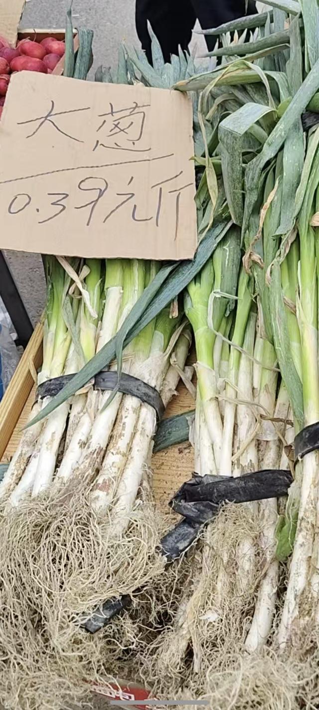 国庆南方高温你经历过吗