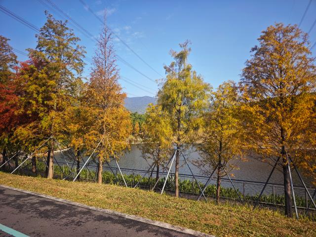 西丽湖绿道骑行随拍