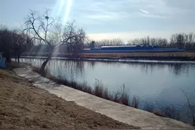 师徒之间，应该是一种比较特殊的关系。如果你上班时学...图片