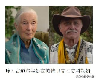 珍·古道尔骨灰存入世界和平小提琴中